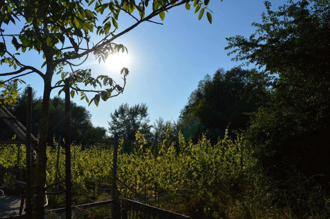 Natuurlijk Genieten Bemmel Exteriör bild
